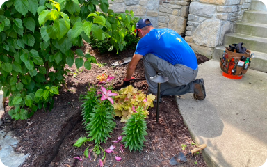 Outdoor Lighting Installation (Front & Backyard)