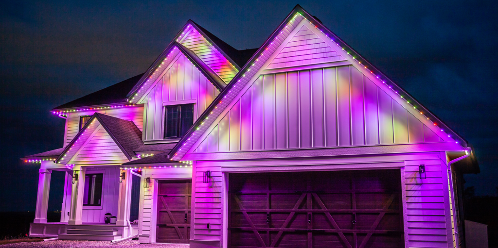 warm-white---1-on,-5-off_0001_purple-&-yellow