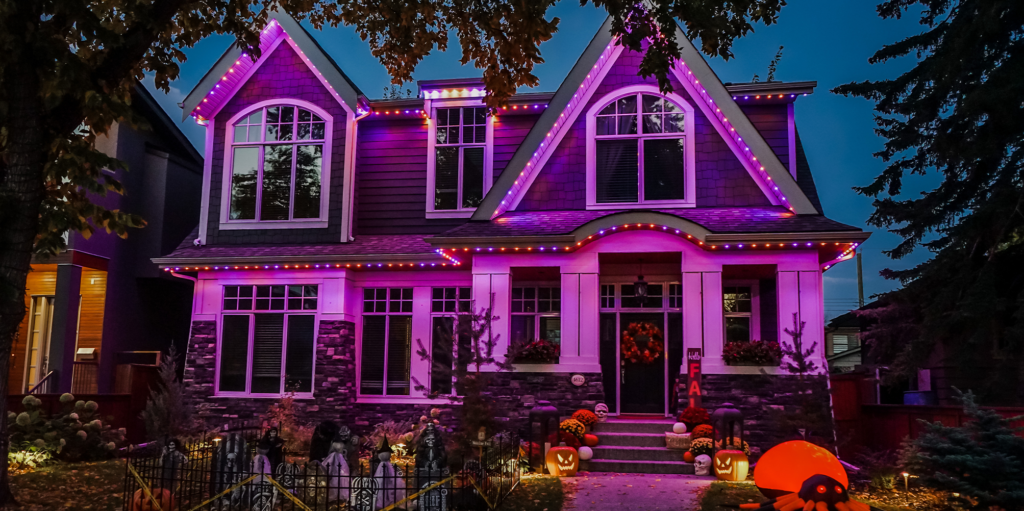 warm-white---1-on,-5-off_0003_purple-&-orange