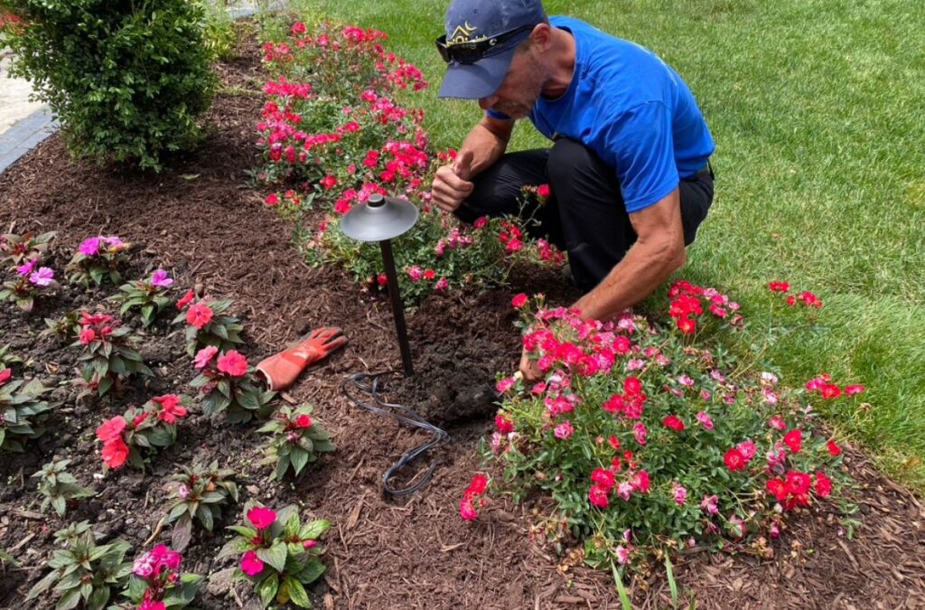 Outdoor Lighting Installation in shrubs