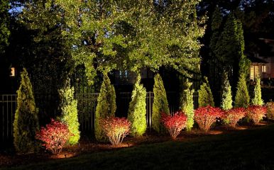 Trees, shrubs, and garden beds — create layered depth with uplighting and accents