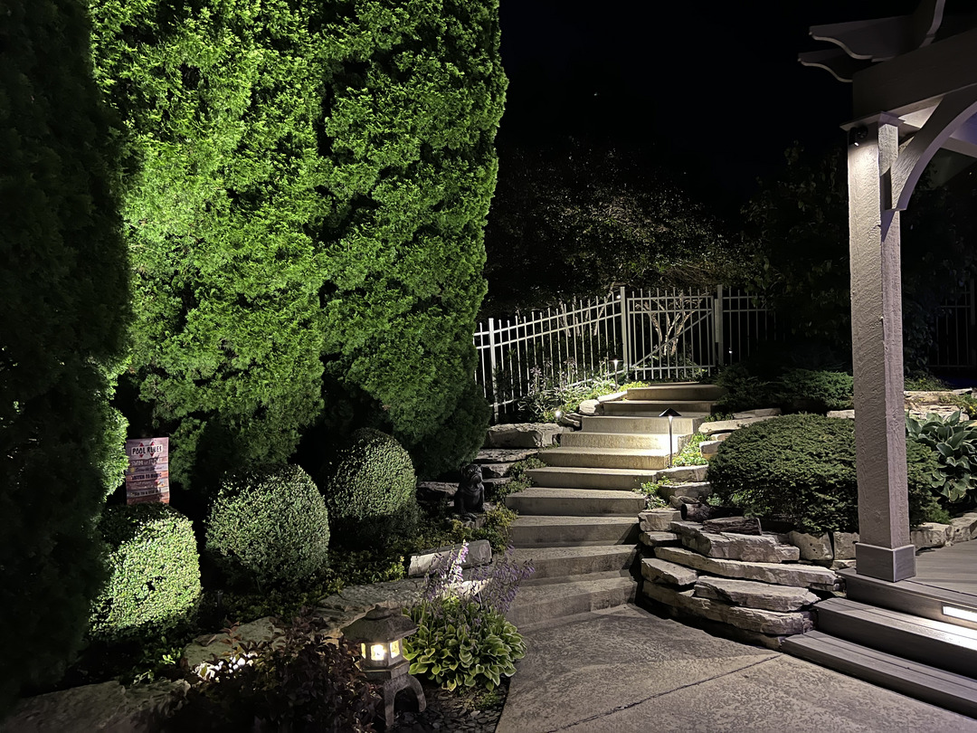 outdoor-lighting-illuminating-landscaped-steps-and-shrubs-creating-a-warm-inviting-atmosphere-in-a-nighttime-setting