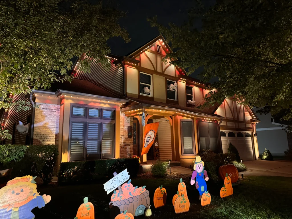 professional installation of outdoor lighting design enhancing landscape features in mokena chicago suburbs