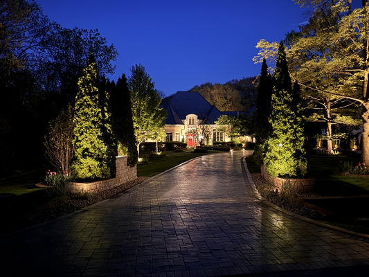 Color Changing Landscape Lighting Installation in Lemont Illinois